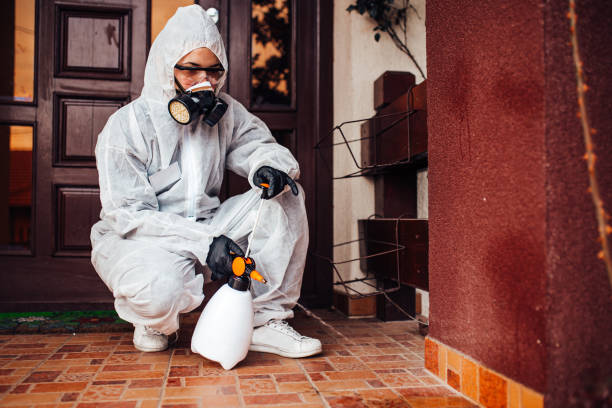 Reliable Cockroach Control contractor in Virginia Beach, VA by Nex Pest Control